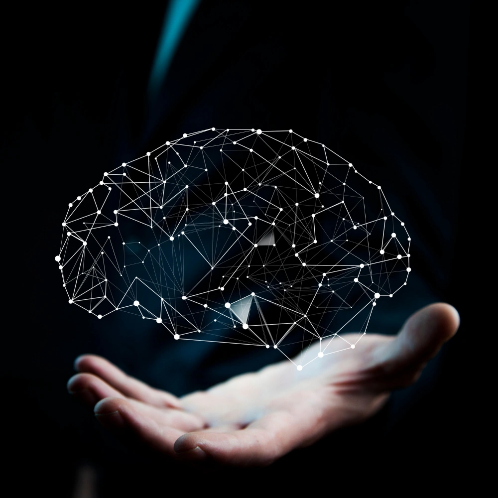 Picks The Best Brain Overview