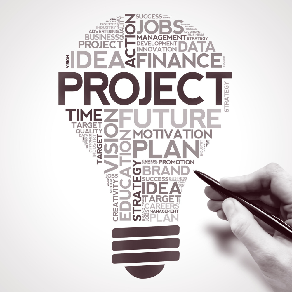 Project manager collaborating with team members and tracking tasks, risks, and approvals using Leo